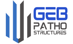 GEB Patho Structure